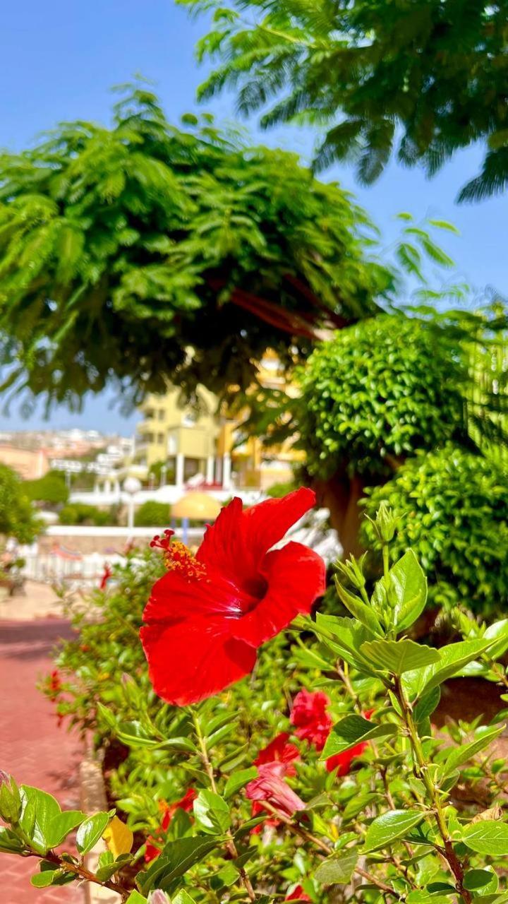 Ocean View Apartment In Orlando Costa Adeje  Kültér fotó